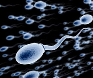 Giải mã tình trạng dị ứng tinh dịch