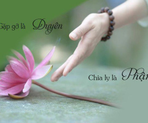 Chàng trai hỏi Phật vì sao yêu 10 năm vẫn bị vứt bỏ, câu trả lời khiến cậu bật khóc
