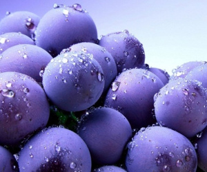 Chế độ dinh dưỡng liên quan thế nào đến ham muốn tình dục?