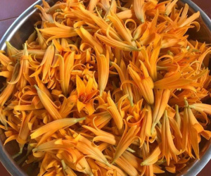 Cơn sốt đặc sản lạ, loại hoa vàng ruộm mỗi năm chỉ có 1 lần