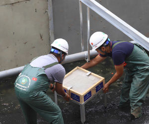 Video: Chuyên gia Nhật lắp thiết bị biến bùn thành khí CO2 và nước ở sông Tô Lịch