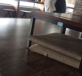 Cặp đôi 'nựng' nhau nhiệt tình ở quán trà sữa khiến mạng xã hội tranh cãi gay gắt