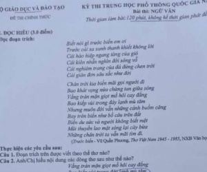 Thí sinh ở Phú Thọ bị đình chỉ, giao CA điều tra vì mang điện thoại chụp ảnh đề thi môn Ngữ văn