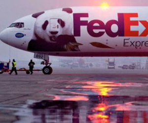 Trung Quốc cân nhắc đưa FedEx vào danh sách đen