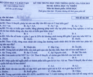 Đề môn Sinh học thi THPT quốc gia năm 2019