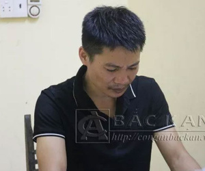 Ảnh minh họa