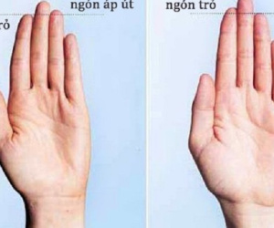 So sánh độ dài ngón tay áp út với ngón trỏ, biết ngay ai làm thuê, ai có tướng làm lãnh đạo