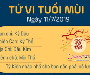 Tử vi thứ 3 ngày 2/7/2019 của 12 con giáp: Hợi có việc vui, Tuất dễ xung đột