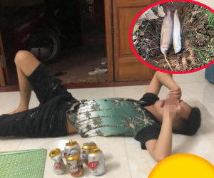 Thanh niên khóc tức tưởi vì vay tiền nuôi cá rồng nhưng cả hai con đều chết sau một tháng