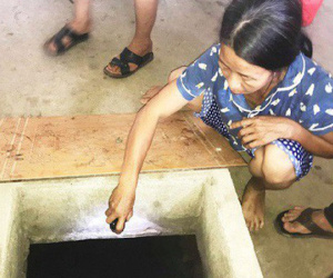 Dùng thuốc diệt cỏ đầu độc hàng xóm