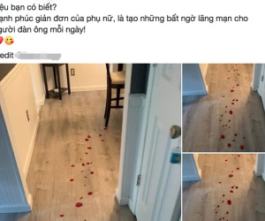 Theo dấu hoa hồng để nhận quà lãng mạn từ vợ, chồng không thốt nên lời khi nhìn thấy kết quả