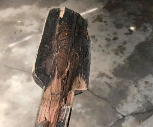 Lên mạng bóc phốt mực khô giả, lấy chày đập mãi không mềm, chàng trai ngã ngửa khi bị dân mạng 'tố ngược' điều này