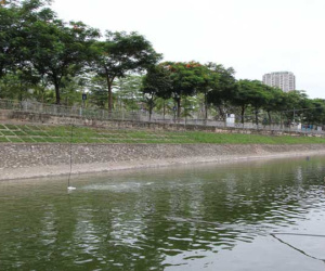 Chuyên gia Nhật Bản nói không được thông báo việc xả nước Hồ Tây, 1 triệu m3 vượt tầm kiểm soát