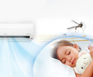 Tại sao muỗi ít xuất hiện trong phòng điều hòa?