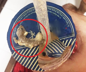 Bị khách hàng tố có 'topping thạch sùng', thương hiệu trà sữa nổi tiếng vào cuộc minh oan và đưa ra cách giải quyết 'cực gắt'