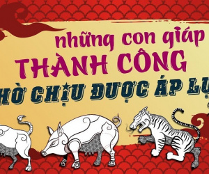 Ảnh bìa bài viết 632365