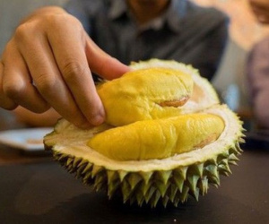 Khoa học nói rằng: Dù nhiều đường và nặng mùi nhưng sầu riêng lại giúp bảo vệ răng, chống hôi miệng