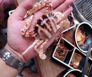 Hí hửng đi ăn buffet hải sản, khách hàng thất vọng vì gặp ghẹ 'sơ sinh', phản ứng của dân mạng mới thật bất ngờ