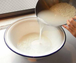 Vo gạo xong đổ ra vườn theo cách này, cây cối xanh rì, hoa tuôn như suối