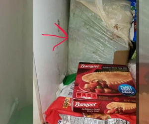 Mẹ vừa qua đời, con trai mở chiếc hộp trắng mẹ cất hàng chục năm trong tủ lạnh và bủn rủn chân tay khi nhìn thấy thứ bên trong
