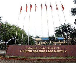 Bộ Giáo dục thanh tra 4 trường đại học