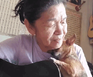 Cụ bà 70 tuổi vừa ôm đàn vừa hát, nổi tiếng khắp mạng xã hội hôm qua và câu chuyện truyền cảm hứng đằng sau