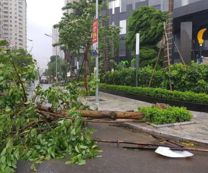 Gần 295.000 khách hàng bị cắt điện do bão số 3