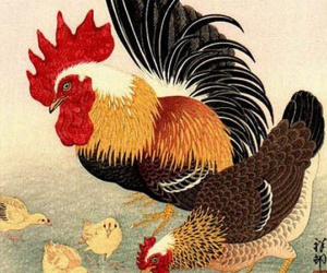 4 con giáp cần đề phòng sức khỏe trong những tháng cuối năm 2019