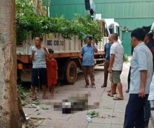 Đứng trên cần cẩu chặt cây, một người đàn ông bị rơi tử vong