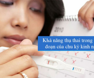 Canh giao hợp quanh ngày rụng trứng là thế nào?