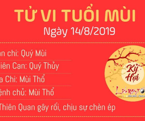 Tử vi thứ 4 ngày 14/8/2019 của 12 con giáp: Mão công việc thuận lợi, Hợi rơi vào tranh đoạt