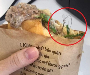 Thương hiệu bánh mỳ nổi tiếng Hà Nội bị tố mất vệ sinh, 'tặng kèm topping' lẫn trong pate là một... búi tóc