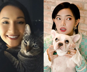'Dăm ba' thứ nổi tiếng của YouTuber, hot girl với streamer Việt: Sang chảnh ở đâu chứ về nhà thì cũng è cổ phục vụ boss thôi!