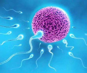 Nam giới tinh trùng yếu có thụ thai và có con tự nhiên được không?