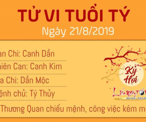 Tử vi thứ 4 ngày 21/8/2019 của 12 con giáp: Hợi tài lộc đầy nhà, Dậu hao của