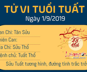 Tử vi chủ nhật ngày 1/9/2019 của 12 con giáp: Ngọ dễ gặp xui xẻo, Hợi đào hoa trong tình cảm