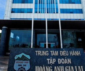 Sau cái 'bắt tay' với THACO, khối tài sản tỷ đô của Bầu Đức còn lại gì?