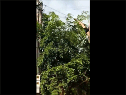 Thót tim clip cô gái đánh đu, lộn nhào 'làm xiếc' trên dây điện ở Đắk Lắk