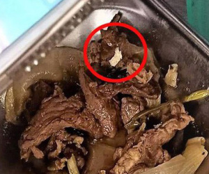 Hàng ngàn công nhân ngừng làm việc vì trong cơm có "sinh vật lạ"