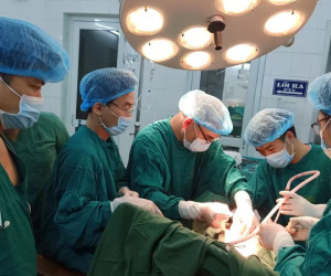 Chồng cầm dao đâm thấu ngực vợ trẻ, dùng đá đập đầu mẹ vợ