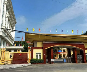 Ảnh minh họa