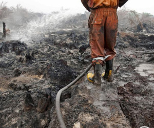 Cơn khát dầu cọ: Cội nguồn của việc cháy rừng hàng loạt tại Indonesia, khiến toàn Đông Nam Á ngập chìm trong ô nhiễm không khí