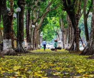 Không khí lạnh tràn xuống, miền Bắc có nơi giảm còn 18 độ C