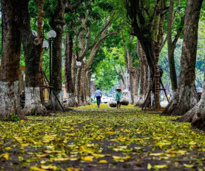 Đêm nay và sáng mai Hà Nội thời tiết se lạnh, vùng núi phía Bắc có nơi dưới 19 độ