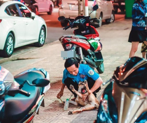 Hình ảnh bảo vệ và hành động đùa giỡn cùng chú chó bên vỉa hè nhưng câu chuyện phía sau càng khiến người nghe xúc động