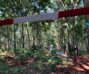 Nóng: Phát hiện thi thể nữ giới lõa thể trong lô cao su gần nghĩa trang, nghi bị hiếp dâm, sát hại