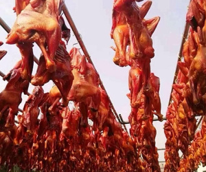 Sự tàn nhẫn đằng sau món gà hong gió Tây Tạng