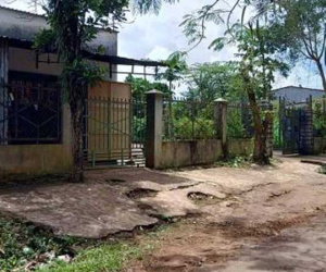 Cách sống giời biển của 3 anh em Nguyễn Thái Luyện