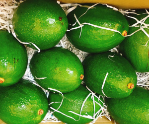 Chi nửa triệu mua quả bơ sáp khổng lồ nặng 1kg