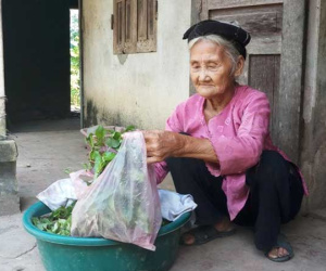 Cảm động đằng sau câu chuyện cụ bà 83 tuổi ở Thanh Hóa xin... thoát nghèo!